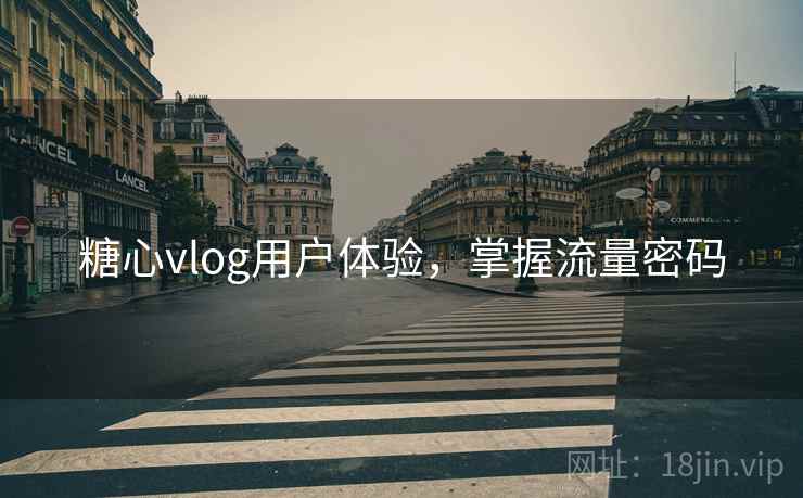 糖心vlog用户体验，掌握流量密码