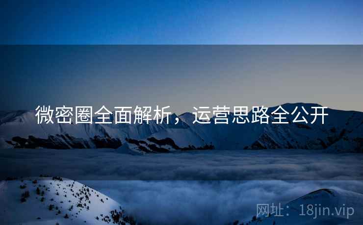 微密圈全面解析，运营思路全公开